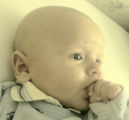 1233629_10151846422372278_505994027_n