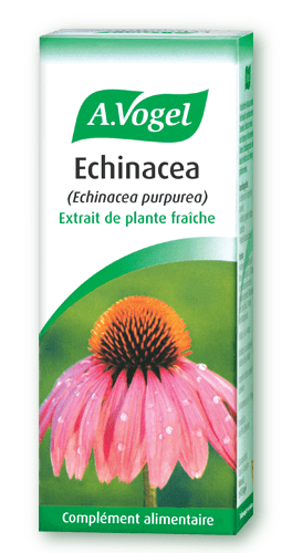 Echinacea