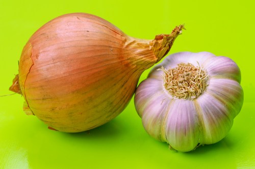 ail-et-oignon-web