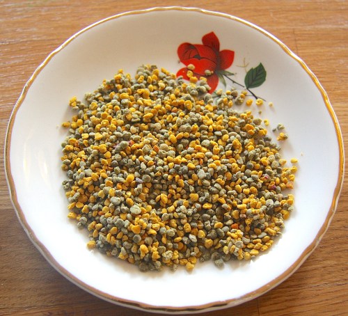 Pollen congelé Pollenergie