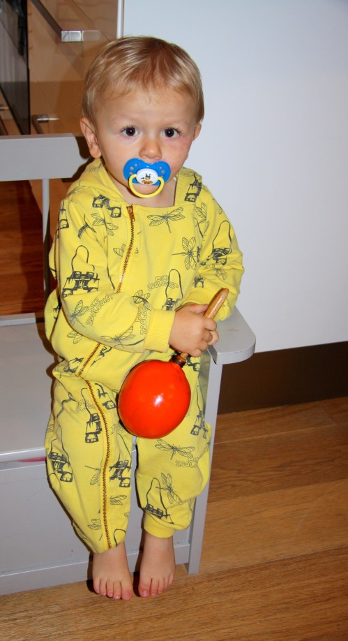 combinaison zoologiste Mini Rodini