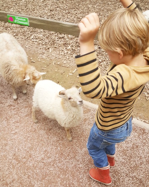 IMG_20170803_215705_099